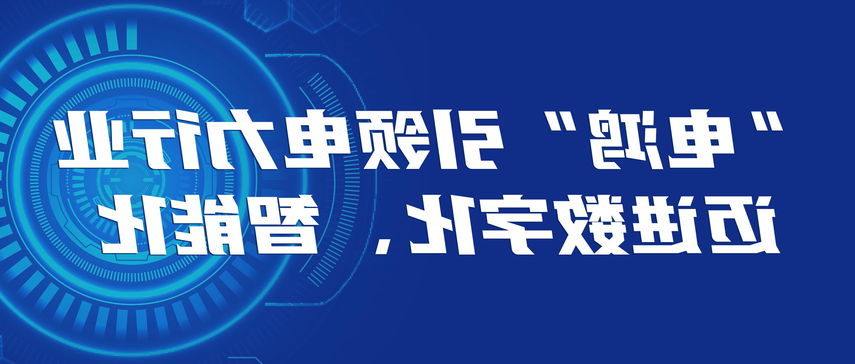 “电鸿”构筑未来能源生态 数字化新底座